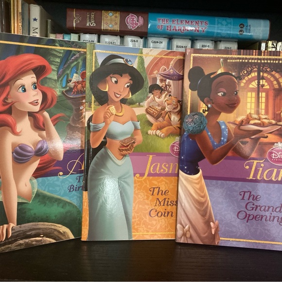 Disney Other - NEW - Disney Princess Illustrated Chapter Book Bundle